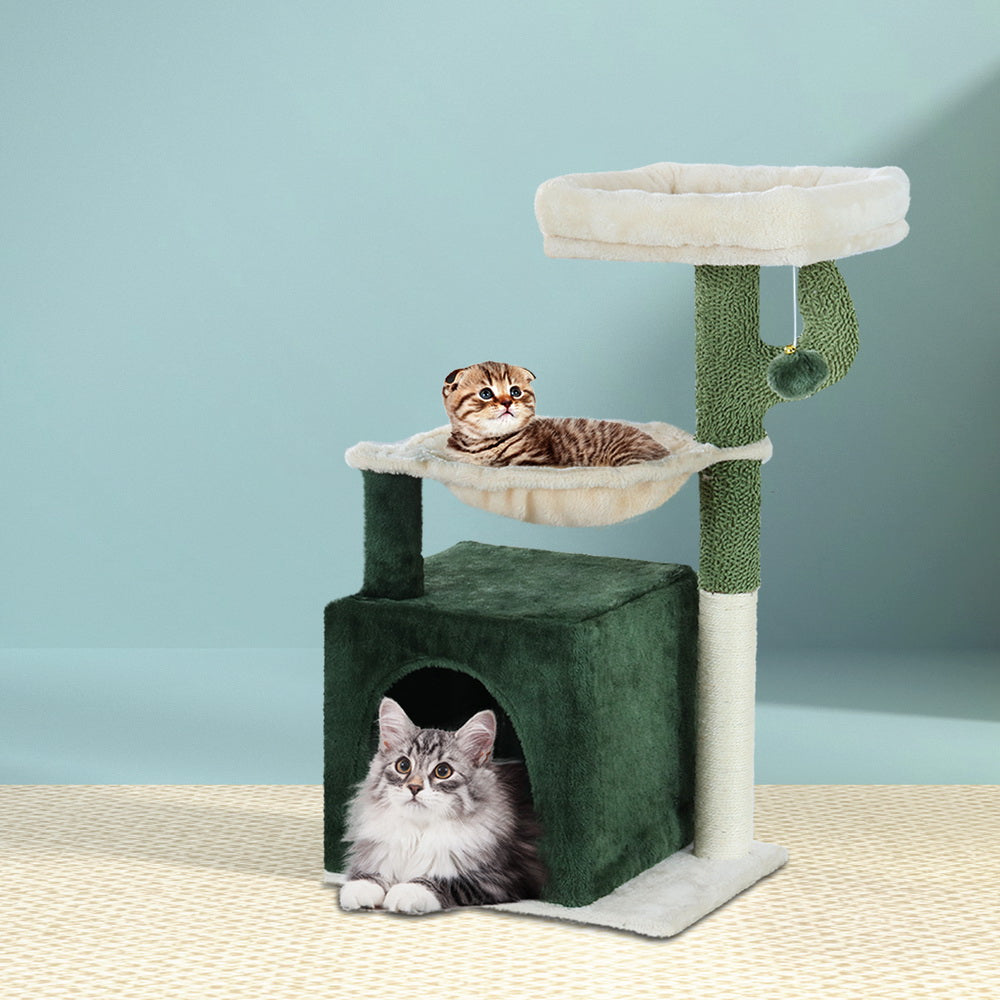 Cat Scratching Tree Green White