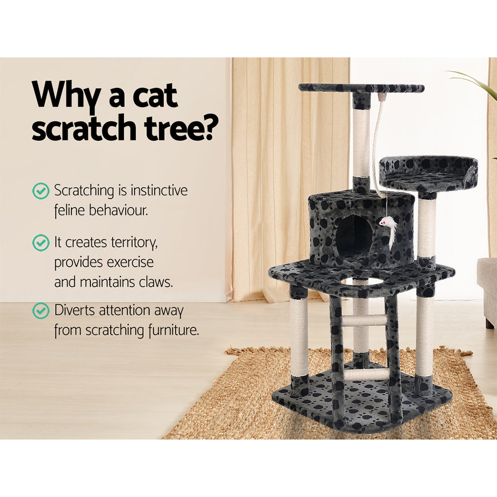 Grey cat scratching tree with condo, nap spot