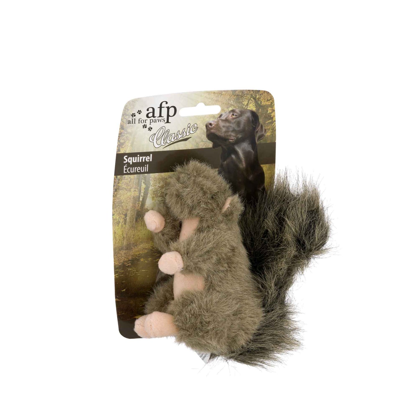 Squirrel Squeaky Interactive Dog Plush Toy Small