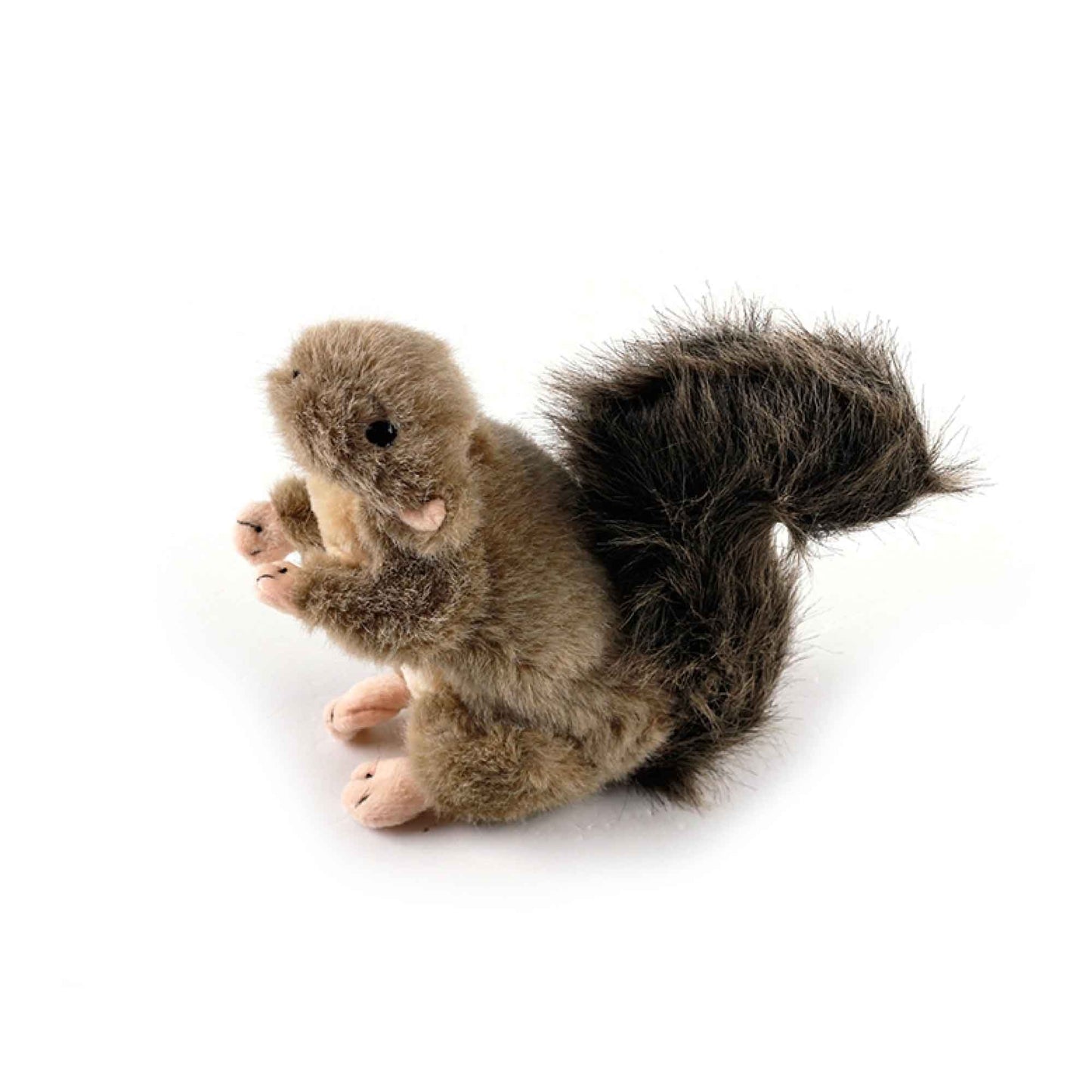 Squirrel Squeaky Interactive Dog Plush Toy Small