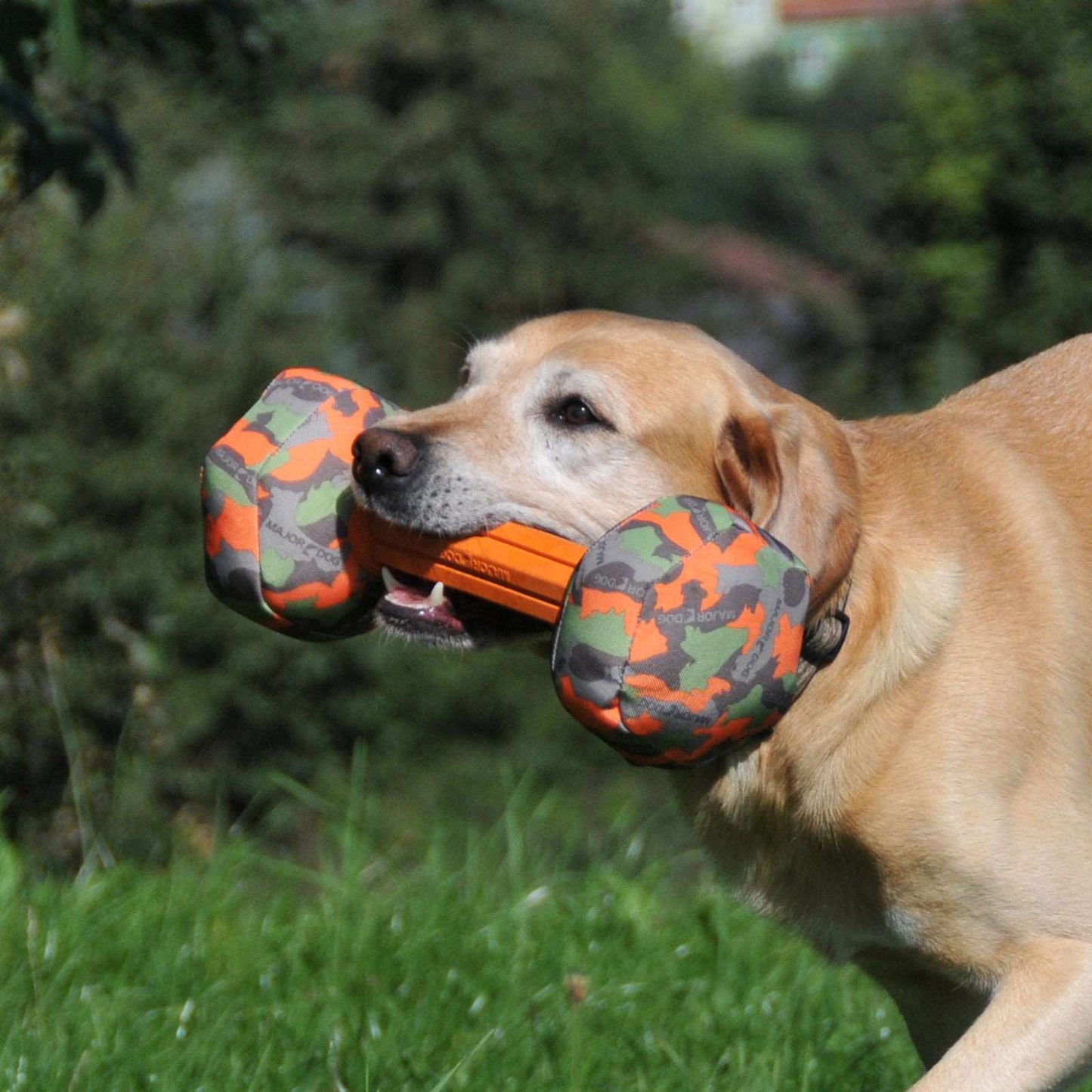 Barbell shaped dog fetching toy in colors orange, green and brown