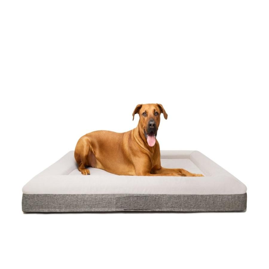 Fur King Orthodontic Pet Bed 