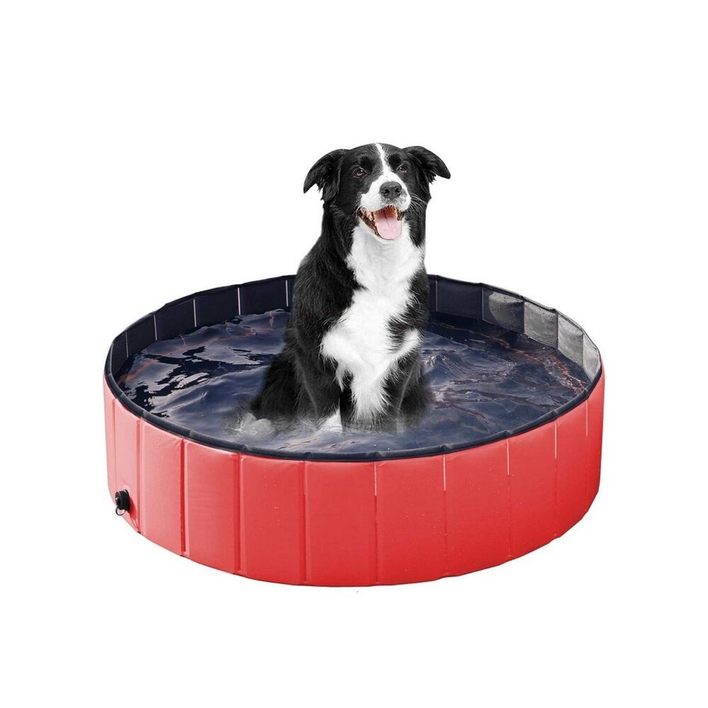 red pet pool with dog in it