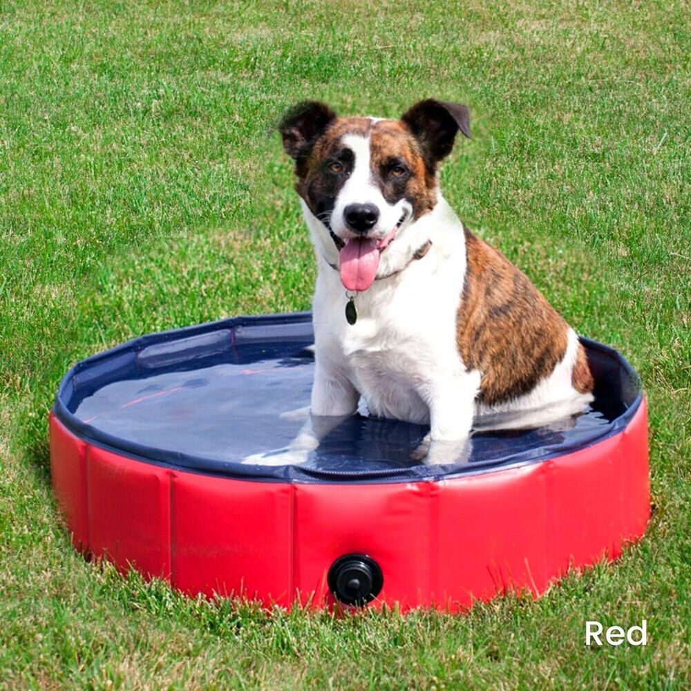 FLOOFI Pet Pool 120cm x 30cm