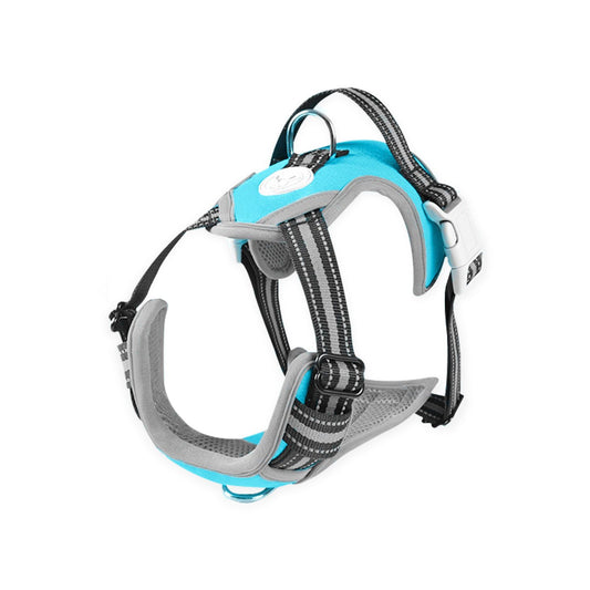 Dog harness in grey, black and light blue colors