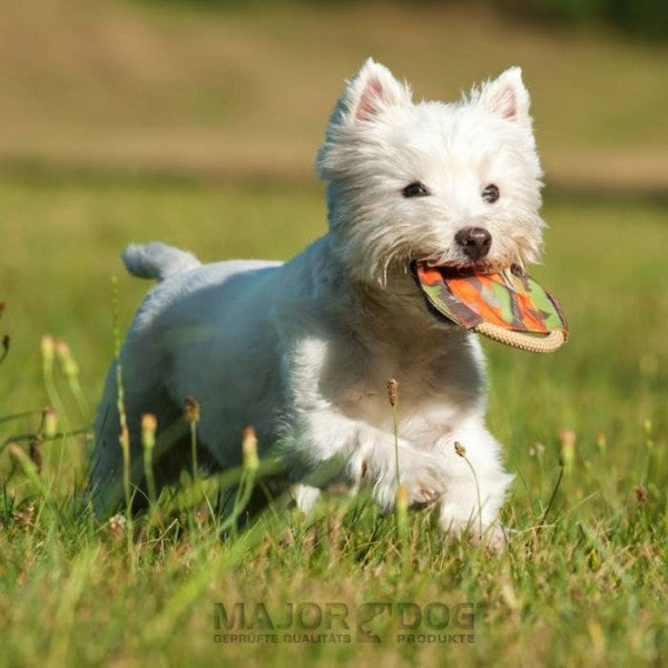 Frisbee Dog Toy Small