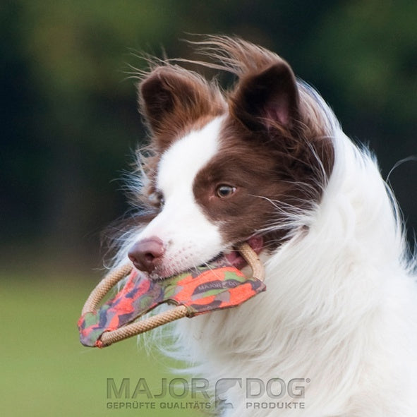 Frisbee Dog Toy Small